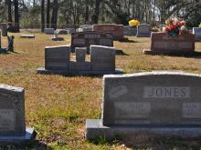 Edna Skinner #2853291 picture (Landscape Medium) Edna Skinner #2853291 picture (Landscape Medium)