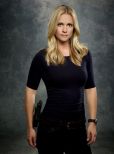 A.J. Cook