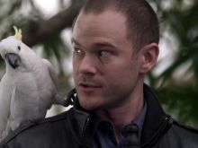 Aaron Ashmore