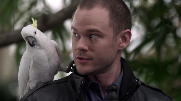 Aaron Ashmore