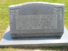 Aaron Brumfield #2086269 picture (Landscape Medium)