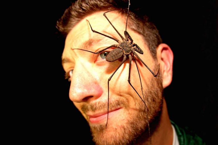 Aaron Lustig