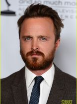 Aaron Paul