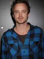 Aaron Paul #8622 picture (Portrait Medium)