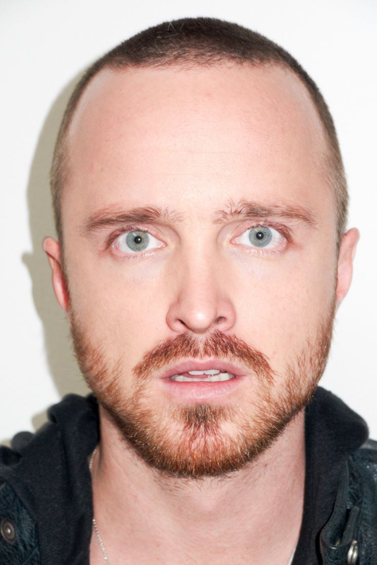 Aaron Paul