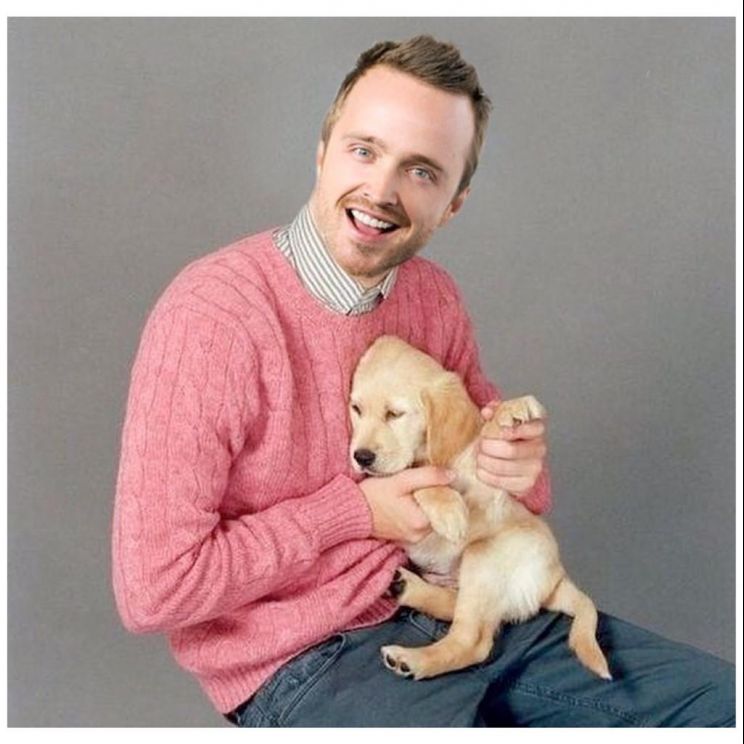 Aaron Paul