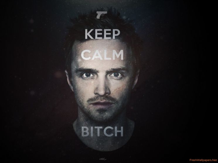 Aaron Paul