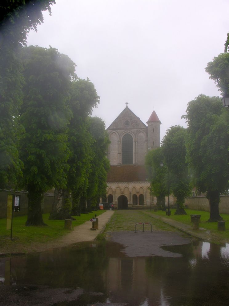 Abbey Rain