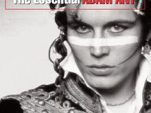 Adam Ant