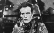 Adam Ant