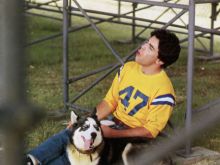 Adam Arkin