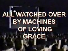 Adam Curtis
