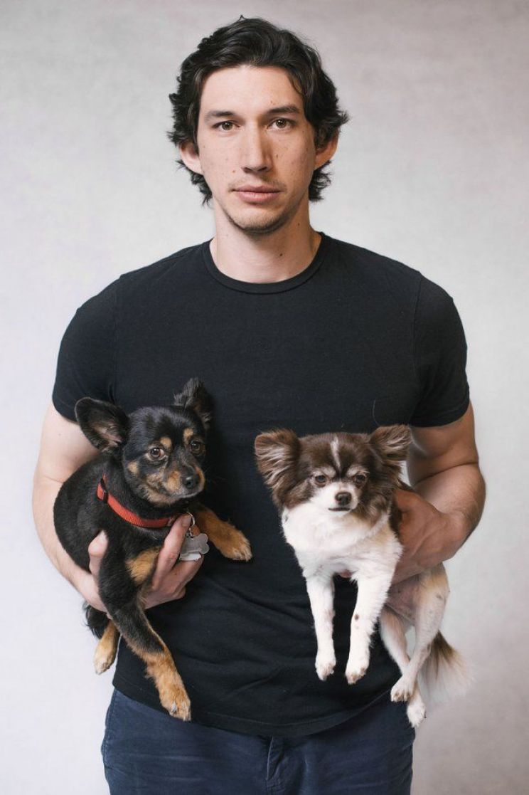 Adam Driver