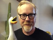 Adam Savage