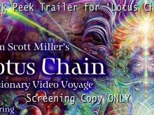 Adam Scott Miller photo