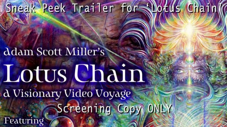 Adam Scott Miller