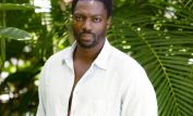 Adewale Akinnuoye-Agbaje