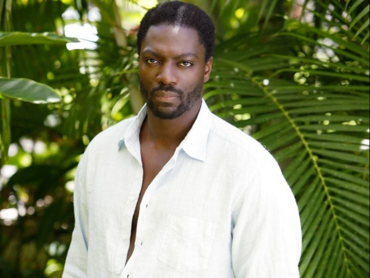 Adewale Akinnuoye-Agbaje