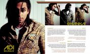 Adi Shankar