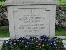Adrian Johansson