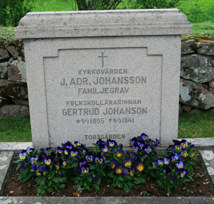 Adrian Johansson