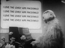 Aimi MacDonald