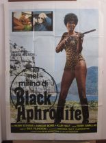 Ajita Wilson
