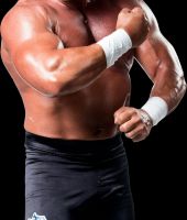 Al Snow