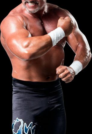 Al Snow