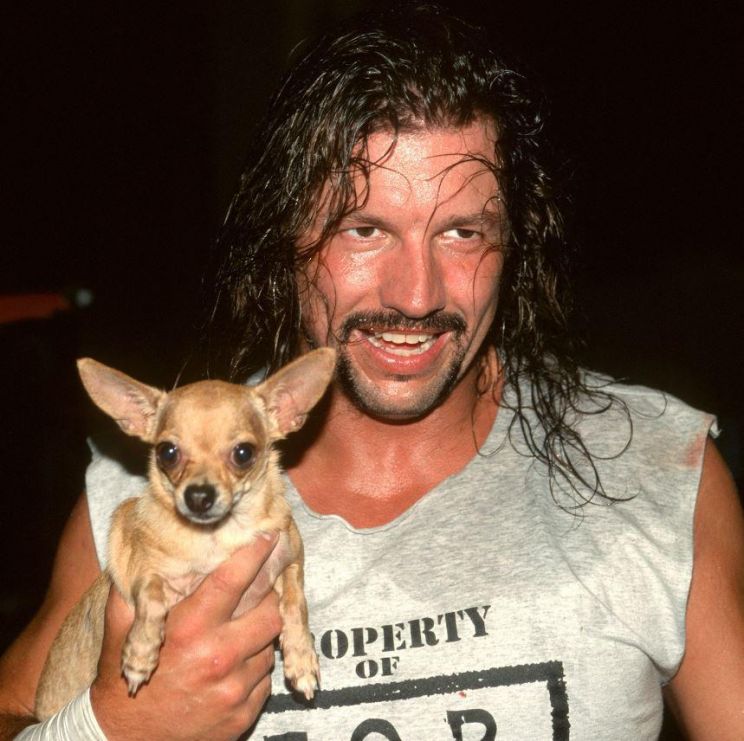 Al Snow