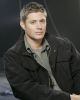 Alan Ackles