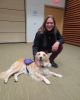 Alan Doyle