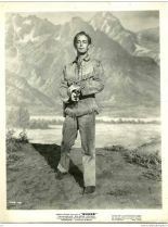 Alan Ladd #545532 picture (Portrait Medium)