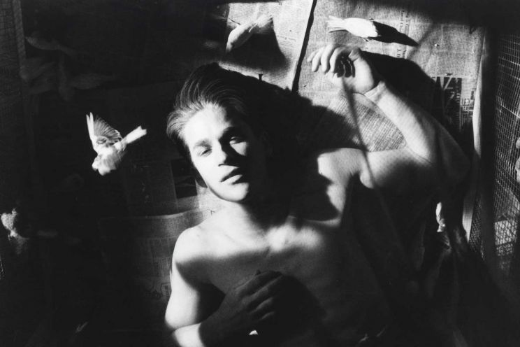 Alan Parker