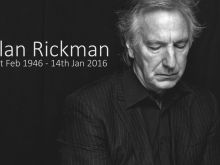 Alan Rickman