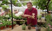 Alan Titchmarsh