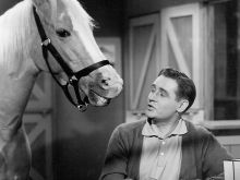 Alan Young