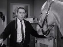 Alan Young