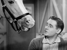 Alan Young