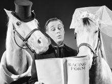 Alan Young