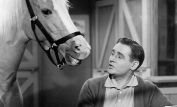 Alan Young