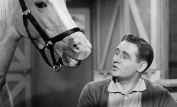 Alan Young