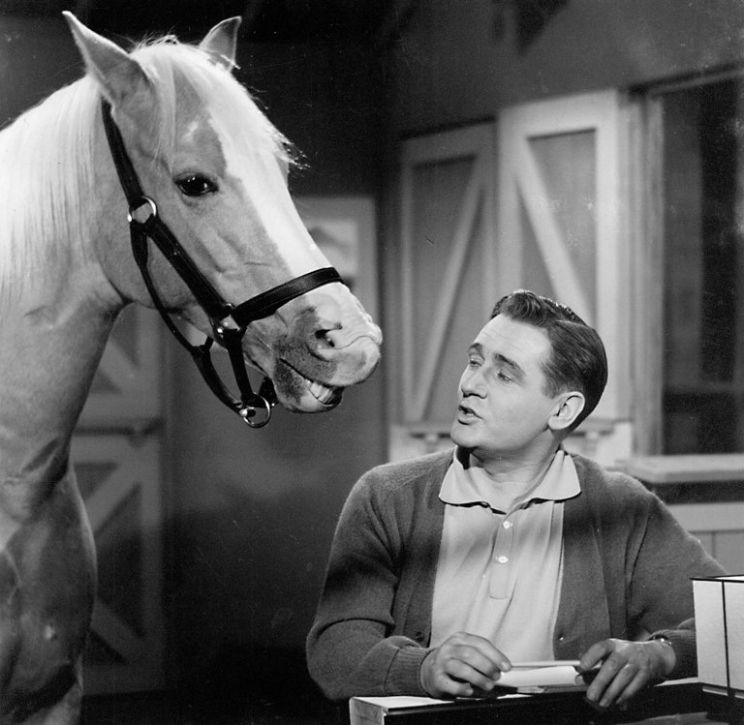 Alan Young