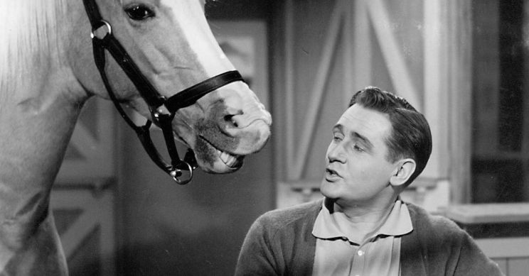 Alan Young