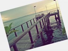 Alana Soares photo