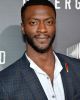 Aldis Hodge