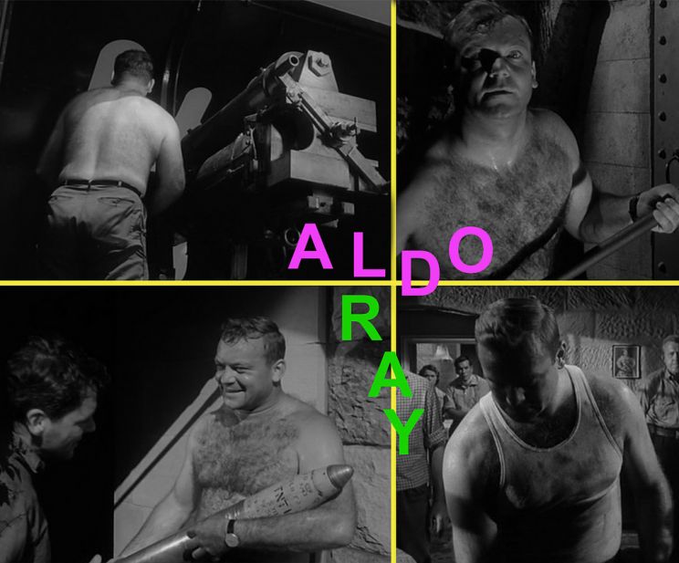 Aldo Ray