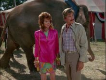 Alex Cord #1237875 picture (Landscape Medium)