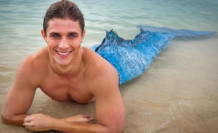 Alex Cubis