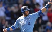 Alex Gordon